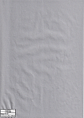 Бумага декоративная 1738-000 (серебро (эмаль))